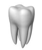 Πόσος τα δόντια εσείς έχουν;. Dental care.